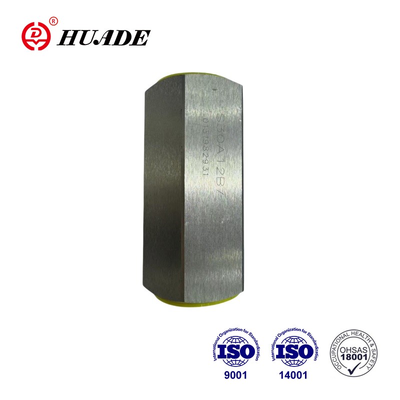 Galvanized Check Valve Type S: A Practical Guide